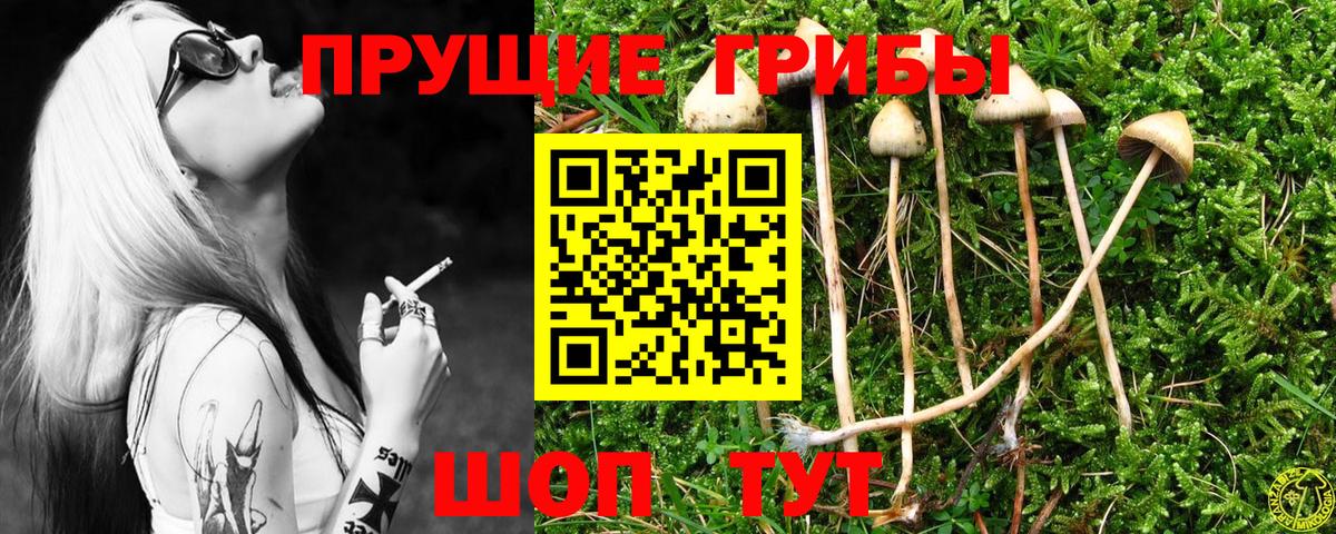 Псилоцибиновые грибы Magic Shrooms Черемхово