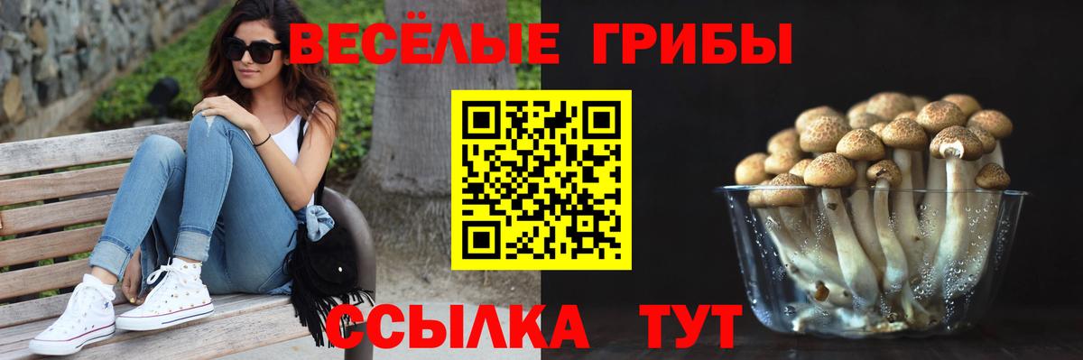 Черемхово  Галлюциногенные грибы Psilocybe  Вход с VPN  Псилоцибиновые грибы Magic Shrooms 